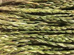 Sweetgrass Braids 20-25 L"